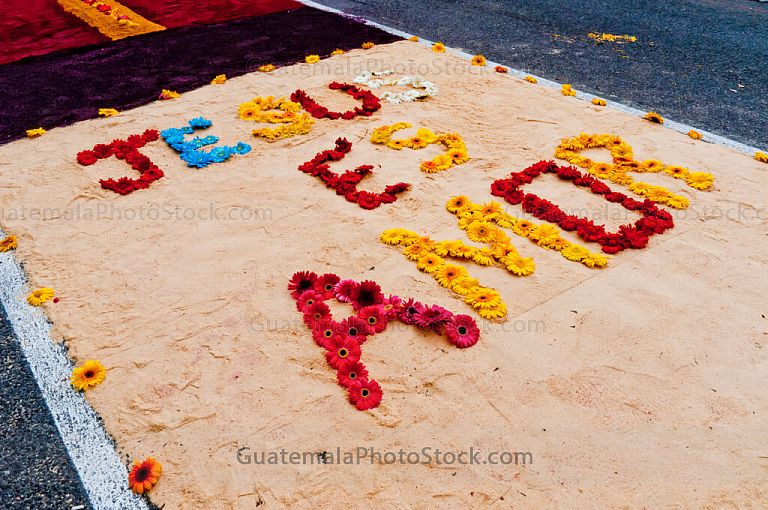 Alfombra de aserrín y flores