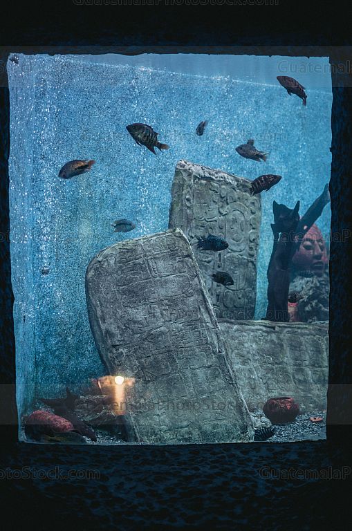 Acuario del zoológico