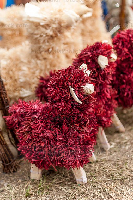 Ovejas de tusa