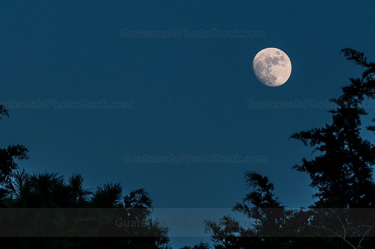 Luna creciente