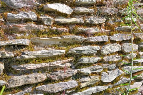 Detalle de pared en Zaculeu