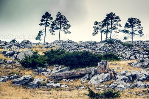 Parque Municipal de Todos Santos Cuchumatán