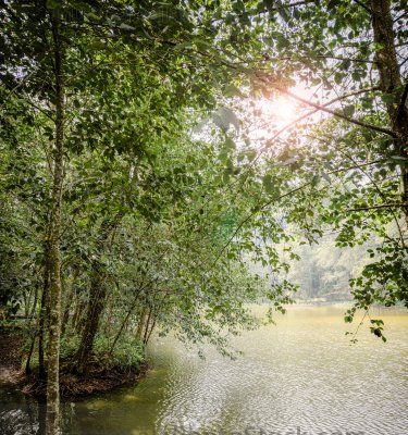 Paisaje urbano de pequeña laguna