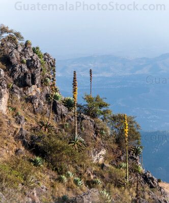 Paisaje de la Sierra de los Cuchumatanes
