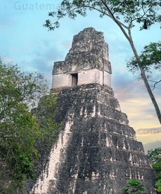 Templo I, Gran Jaguar