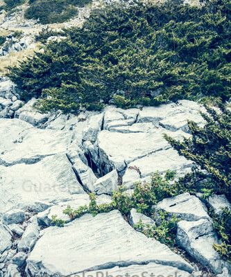 Detalle del paisaje rocoso de la Cima de los Cuchumatanes