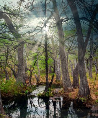 Nacimiento del Río Lagartero