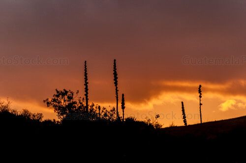Atardecer en la Sierra de los Cuchumatanes