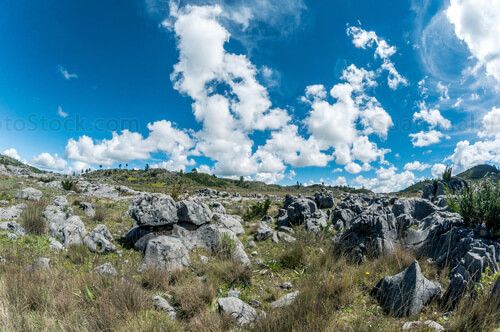 Paisaje agreste