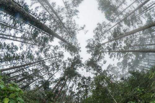 Sendero Puerta del Cielo