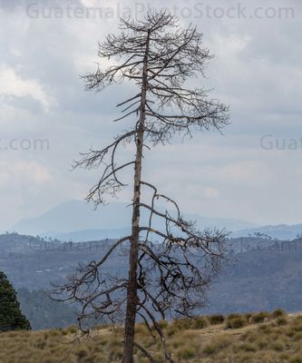 Paisaje en la cubre de la Sierra de los Cuchumatanes