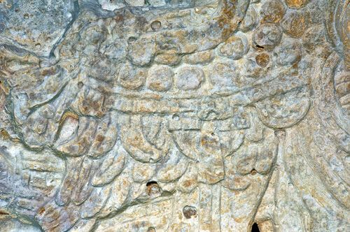 Detalle de estela maya en el Parque Nacional Tikal