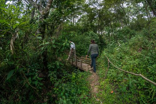 Senderos en Parque Ecológico