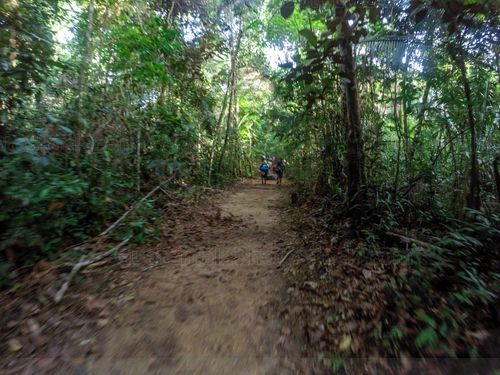 Sendero parque nacional Laguna de Lachuá