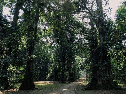 Sitio Arqueológico Quirigua