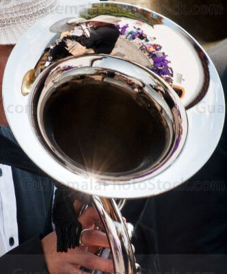 Musico
