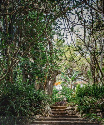 Sendero dentro del Jardín Botanico