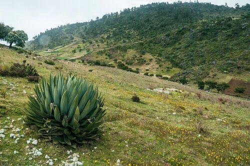 Sierra de los Cuchumatanes