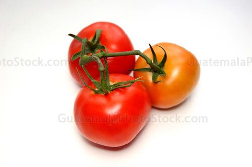 Tomates