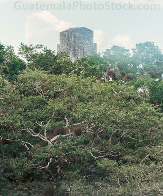 Parque Nacional Tikal