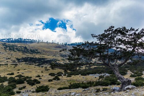 Paisaje rocosos de la Sierra de los Cuchumatanes