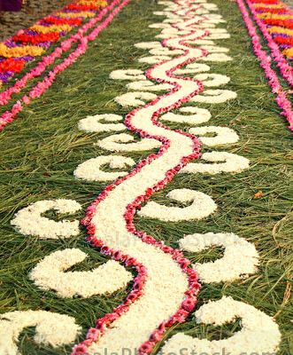 Alfombra de aserrín