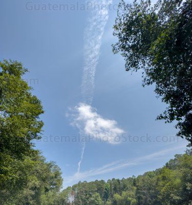 Paisaje urbano natural