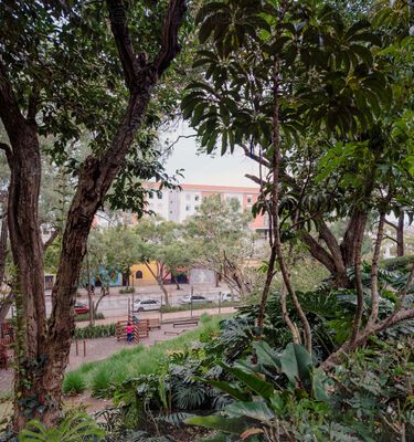 Jardinización en el Cerrito del carmén