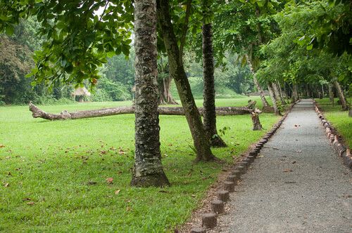 Sendero principal de Quirigua