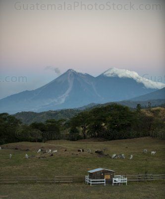 Finca La Escondida, Los Pocitos