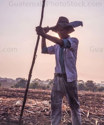 Hombre en la Zafra
