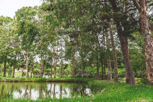 Estanque de pesca, Finca Xejuyu