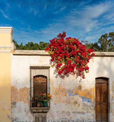 Fachada en la Antigua Guatemala