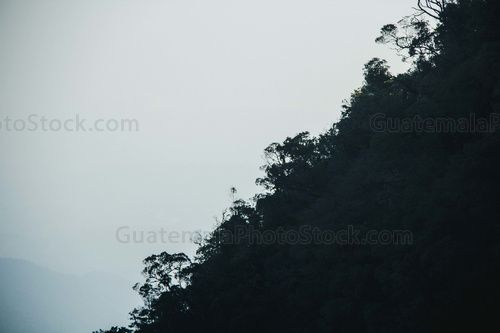 Silueta de montaña