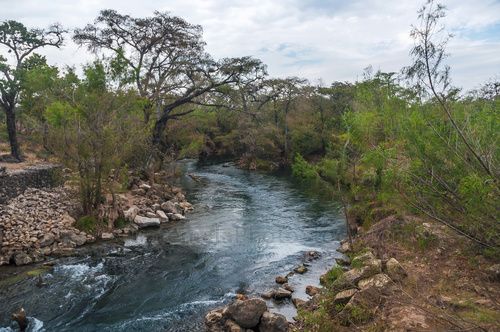 Río Lagartero