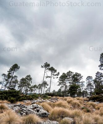Paisaje de lo Cuchumatanes