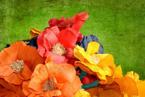 Flores de tusa