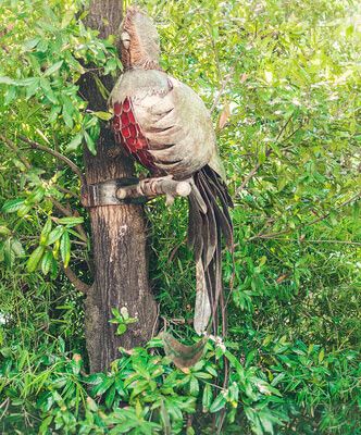 Escultura de Quetzal