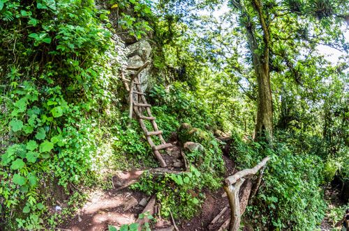 Senderos a orillas de la laguna de Ipala