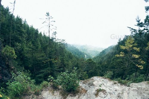 Sendero Ecológico La Maceta