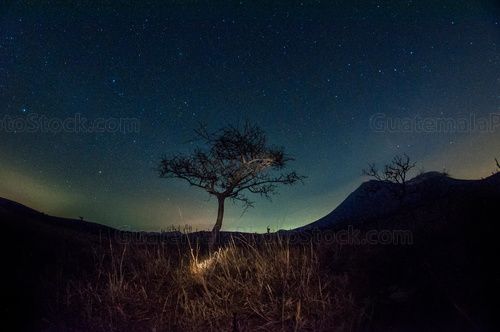 Paisaje entre estrellas