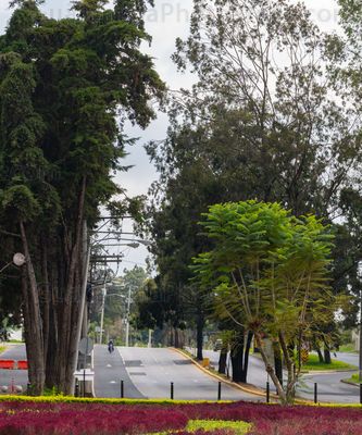 Bulevar Austriaco, Zona 16