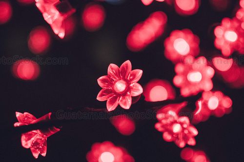 Luces de fin de año