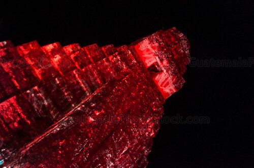 Templo I, Gran Jaguar, Tikal