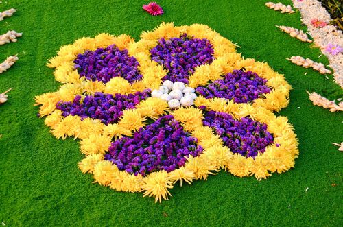 Alfombra de aserrín