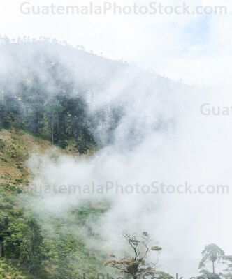 Bosque nuboso de Todos Santos Cuchumatan
