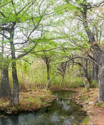 Nacimiento del Río Lagartero