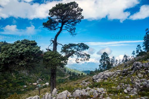 Sendero Puerta del Cielo