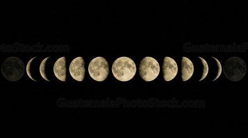 Fases de la luna