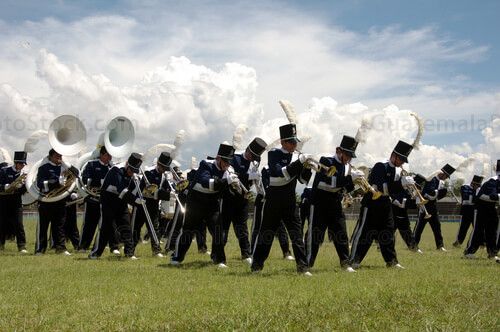 Banda latina